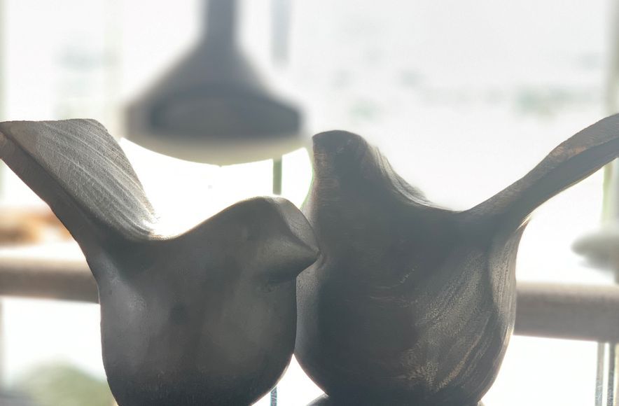 Dovecoat