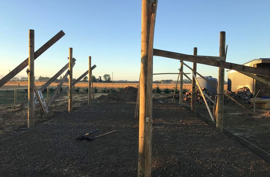 3 Bay Shed | Horse Stables
