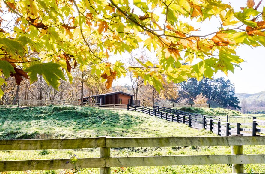 Wairarapa Elevate Barn 130 Home