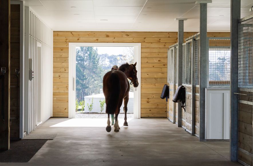 Karaka barn with stables