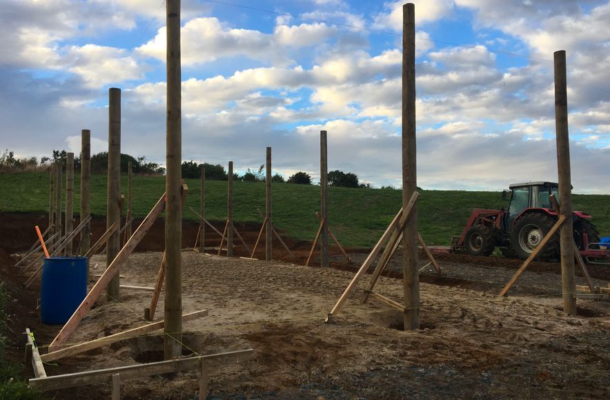 Raglan Lifestyle Pole Shed