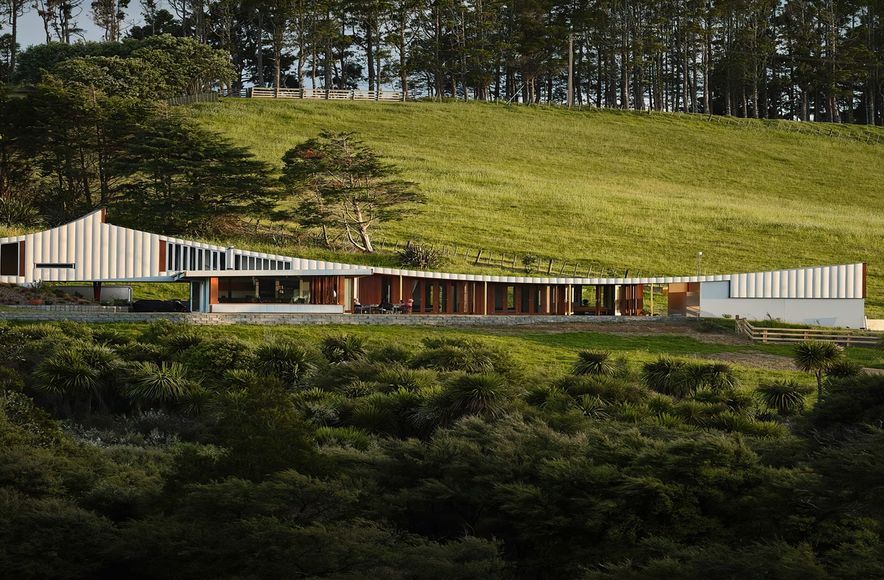 Kauri Home