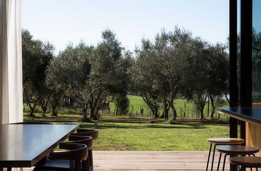 Olive Grove House