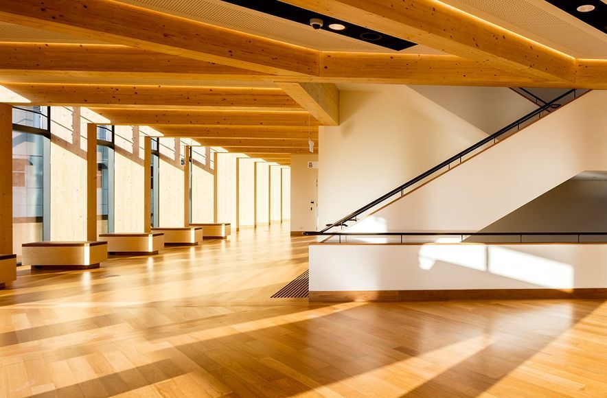 Ainsworth Building - Using Timber to Create a Sense of Wellbeing,