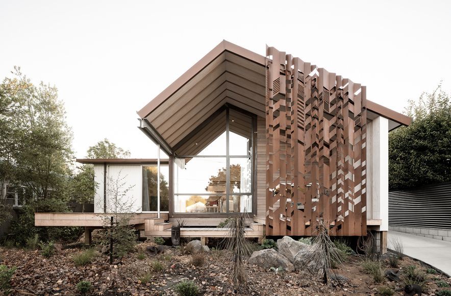 Swamp Dwelling