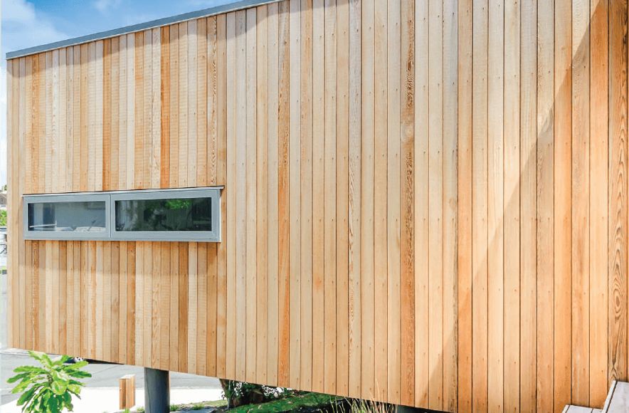 Paraparaumu Tree House