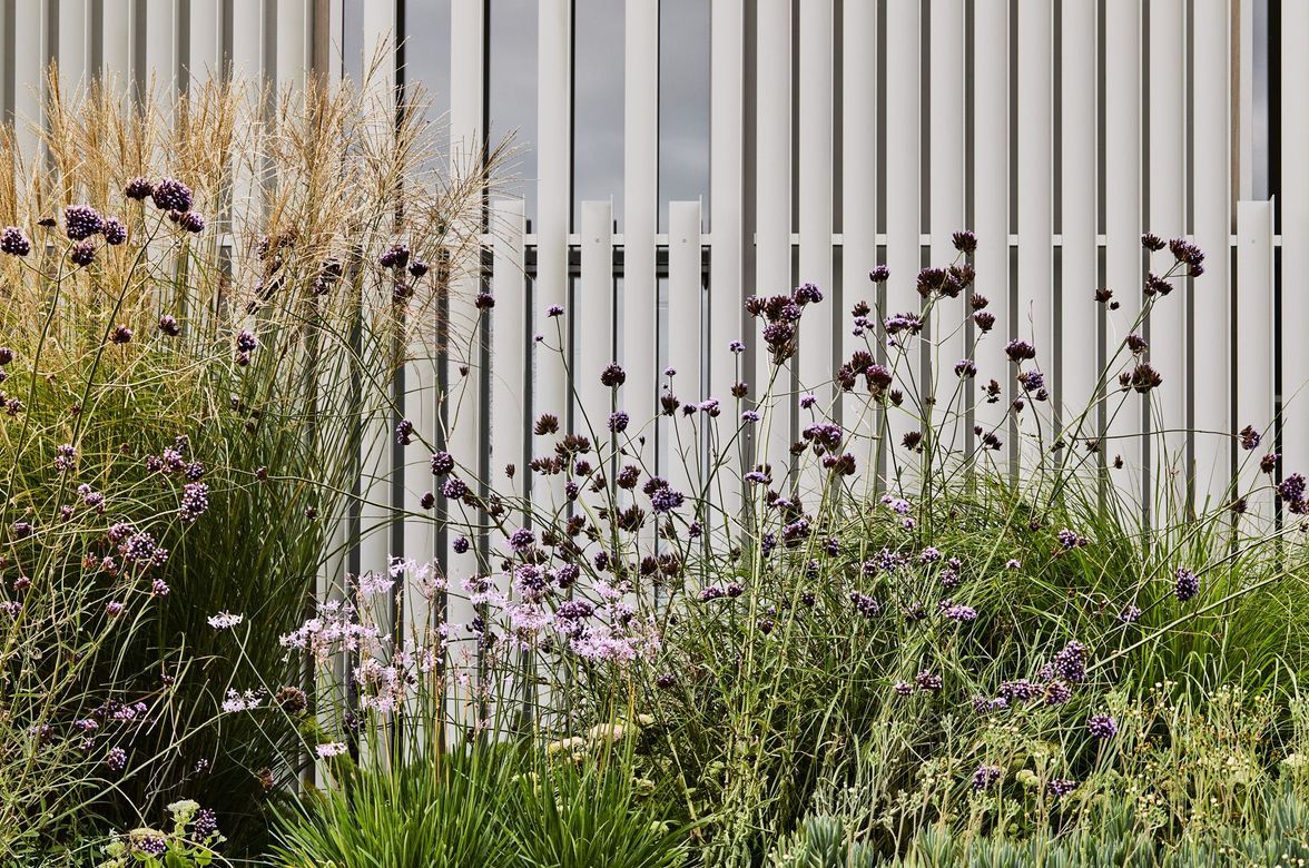 Brunswick East Residence
