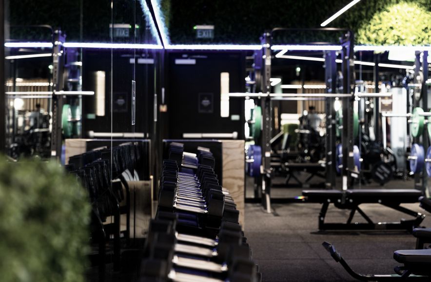 Flex Fitness | Auckland