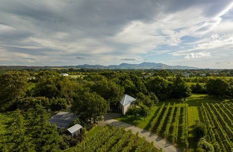 Ata Rangi Tasting Room