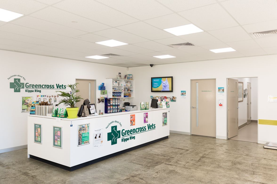 Kippa-ring Veterinary Clinic