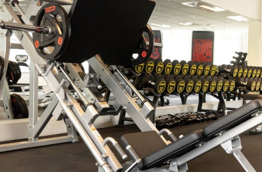 Zuru Gym | Auckland